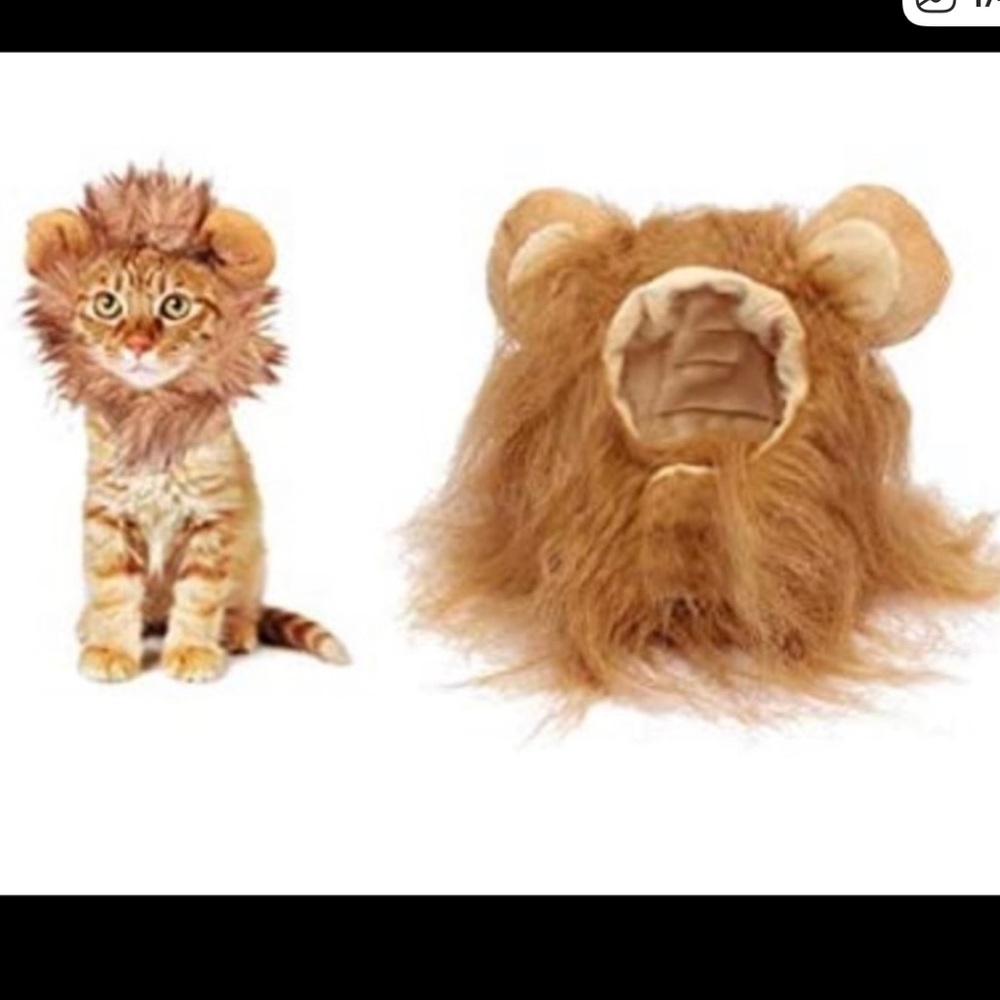 Lion costume for cat or small dog